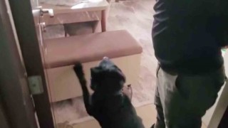 Evindeki sandıktan 814 gram eroin çıktı, Satmıyorum, kullanıcıyım dedi