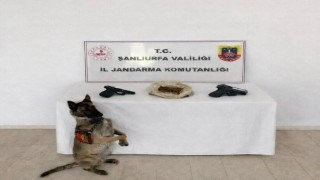 Eyyübiyede uyuşturucu operasyonu: 1 tutuklama