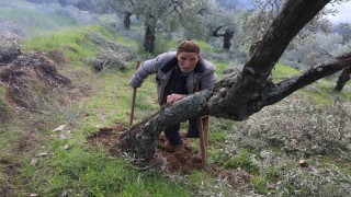 Film sahnesi değil gerçek hayat