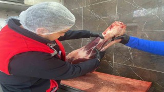 Gıda işletmelerine yönelik denetimler sürüyor