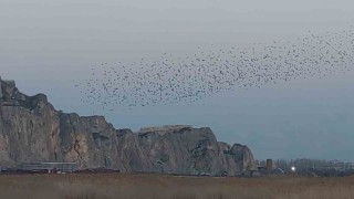 Gökyüzünde dans: Van Kalesinde sığırcık şöleni