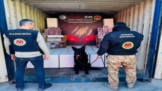 Gümrükler Muhafaza Kaçakçılık ve İstihbarat birimlerince gerçekleştirilen operasyonlarda 4,6 milyar lira değerinde ilaç ve uyuşturucu madde ele geçirildi
