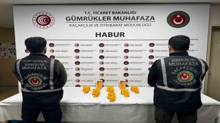 Haburda ayakkabı içerisinde 41 kilo altın ele geçirildi