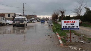 Hatayda 4 mahalleye kuduz karantinası