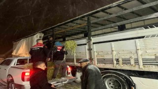 Hayvanlar aç kalmasın diye imdada yetiştiler