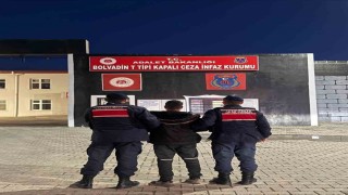 Hırsızlık suçundan aranan şahsı jandarma yakaladı