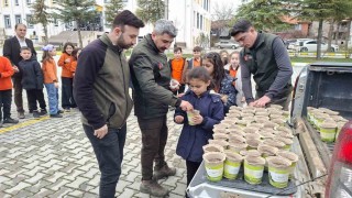 Hisarcıkta minikler saksılarda karaçam fidanı yetiştirecek