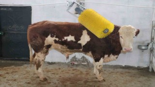 IPARD III ile Erzincan tarımına 178 milyon TLlik yatırım desteği