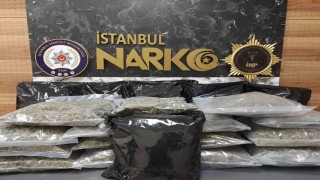 İstanbulda uyuşturucu operasyonu: 22 kilo 450 gram skunk ele geçirildi