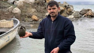 İznik Gölünde balıkçıların ağına küp takıldı
