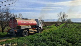 İznikte rüzgarla birlikte sazlık yangını büyüyor