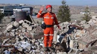 JAKEMde deprem sonrası umut arayan patiler