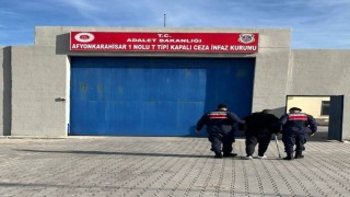 Jandarma 46 yıl 6 ay hapis cezasıyla aranan şahsı yakaladı