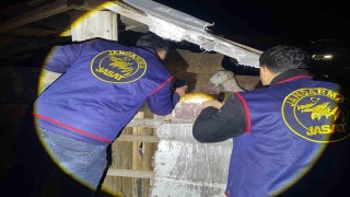Jandarma kayıp 5 koyun için 3 iş yeri ve 9 meskene ait toplam 24 saatlik güvenlik kamerasını saniye saniye inceledi