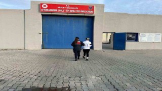 Jandarma tarafından yakalanan 20 kişi tutuklandı