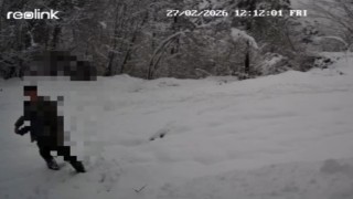 Kaçak avlanan şahıs fotokapana yakalandı