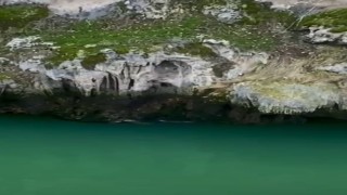 Karakoçanda su samurları görüntülendi