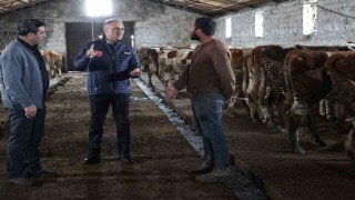 Kars Tarım ve Orman Müdürlüğü sahada: Bayraktar Köyünde büyükbaş işletmesine ziyaret