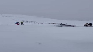 Kayak merkezinde kaza: 6 yaralı