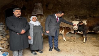 Kaymakam Kayadan üretici anneye umut olan destek