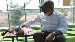 Kayseride ilk ve tek küçük dostları Kedi Kasabası, ziyaretçi rekoru kırıyor