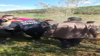 Kazada yaralanan sürücü için belediye başkanı ve vatandaşlar seferber oldu
