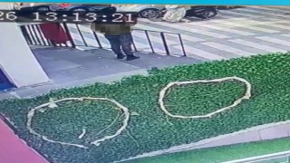 Kedinin çuvala konularak uzaklaştırıldığı görüntülere tepki