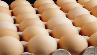 Kişi başına düşen yumurta üretimi 15 adet azaldı