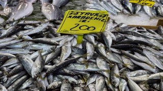Kocaelide balık tezgahlarındaki son durum