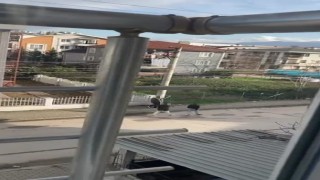 Kocaelide havaya ateş açan çocuğa para cezası