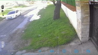 Köpeği çalınan vatandaştan hırsıza çağrı