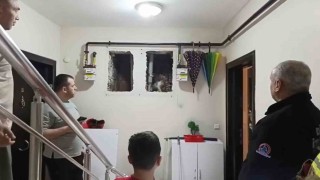 Küçük Yaser Kaanın dikkati kediyi kurtardı