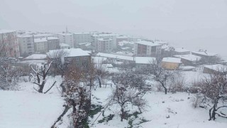Kulpta kar yağışı etkili oldu, ilçe beyaza büründü