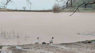 Kuruyan Sülüklü Göl yeniden canlandı
