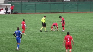 Maç esnasında top çarpan martı, kalp masajıyla hayata döndü