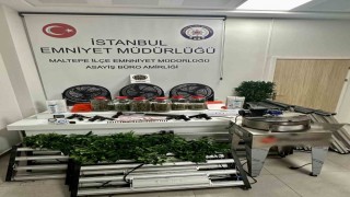 Maltepede bir uyuşturucu serası dronla tespit edildi: 3 gözaltı