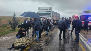 Mardinde tır ile otomobil çarpıştı: 1 ölü, 4 yaralı