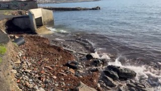 Marmaradaki fırtına Tekirdağ kıyılarını kızıl yosunla sürükledi