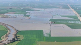 Menderes taştı, yüzlerce dönüm sular altında kaldı