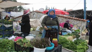 Menteşe Pazarında tilkişen sezonu başladı