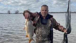 Meriçin taşması sonrası tarlada sazan yakaladılar