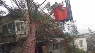 Mersinde fırtına etkili oluyor: Ağaç evin üzerine devrildi
