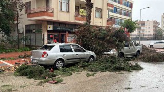 Mersinde fırtına ve sağanak hayatı olumsuz etkiledi