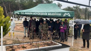 Mersinde hayatını kaybeden keman sanatçısı Laçin Akyol, mezarı başında anıldı