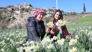Mersin’de Nergisle Kalkınma Hamlesi