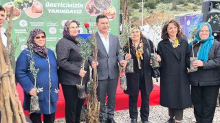 Muğlada toprak gelecekle buluşuyor: 50 bin fidan üreticiye teslim edildi