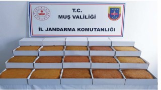 Muşta 45 kilo kaçak tütün ele geçirildi