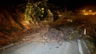 Mutta aşırı yağış nedeniyle kapanan yol ulaşıma açıldı