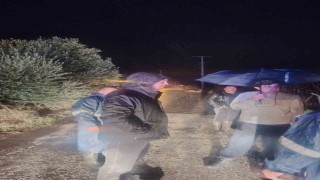 Naipli Çayı taştı, Germencik Belediyesi ekipleri müdahale etti