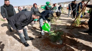 Nevşehirde binlerce fidan toplarla buluştu